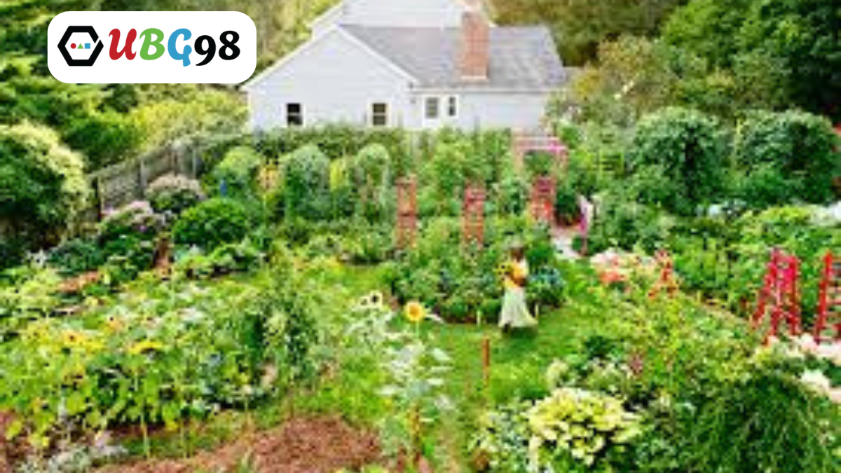 permaculture garden design