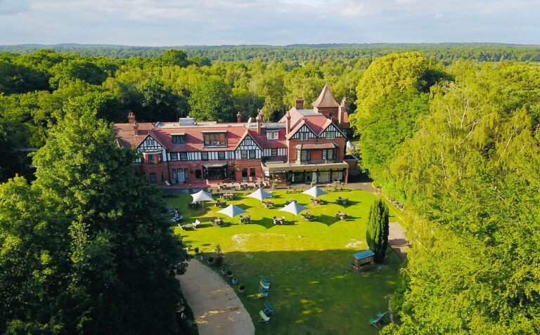 New Forest Hotels Dog Friendly