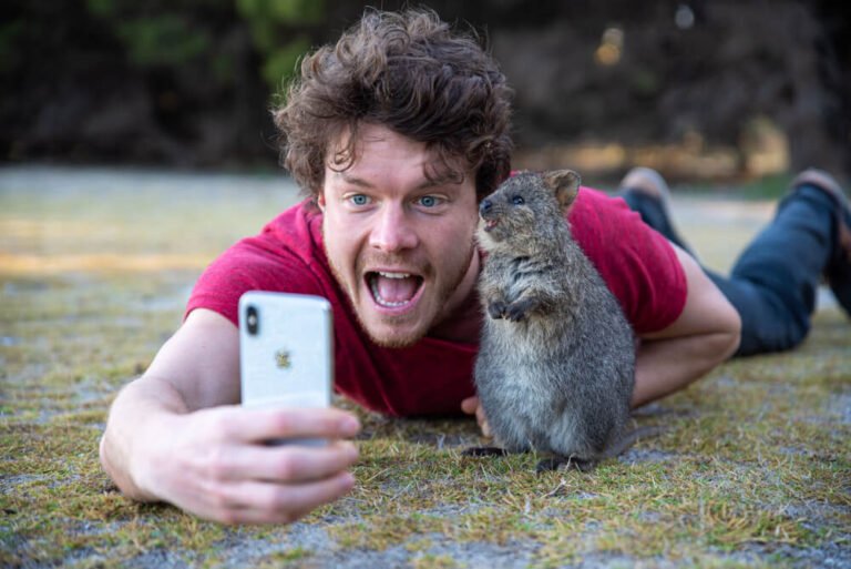 Quokka Selfie
