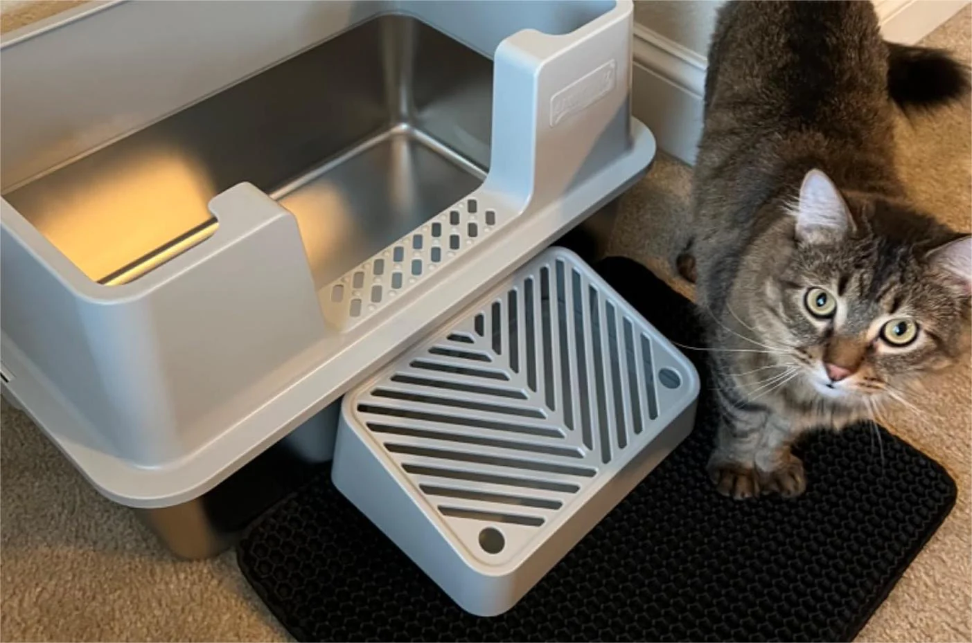 Stainless Steel Litter Box