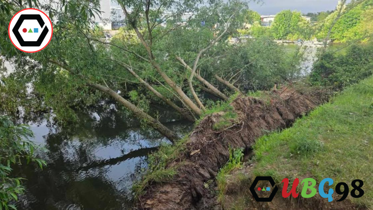 Riverbank Collapse Iford Playing Fields