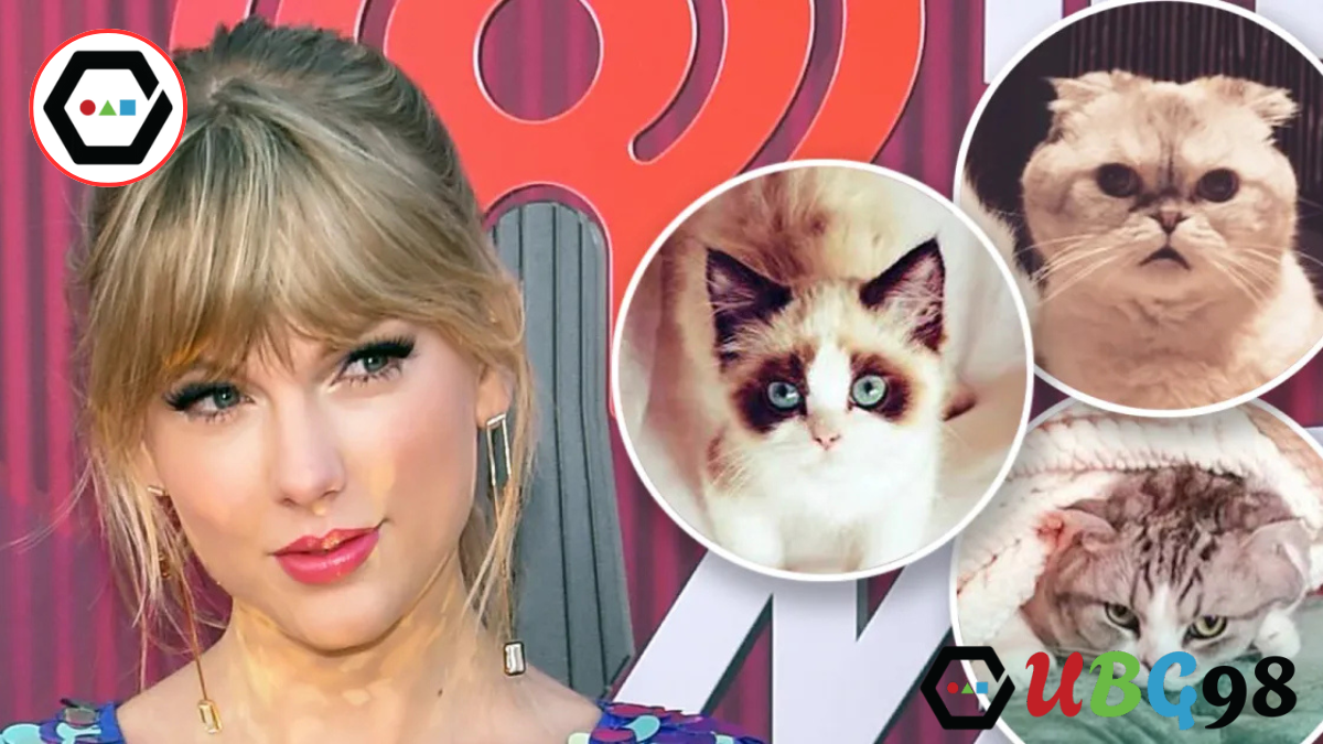 Taylor Swift Cats