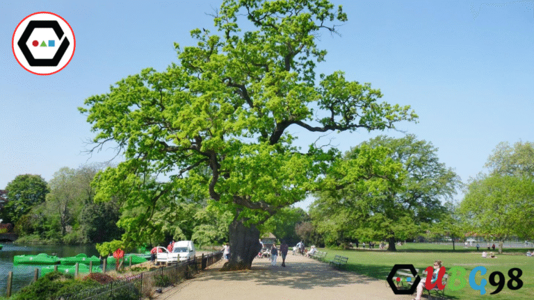 Dulwich Park